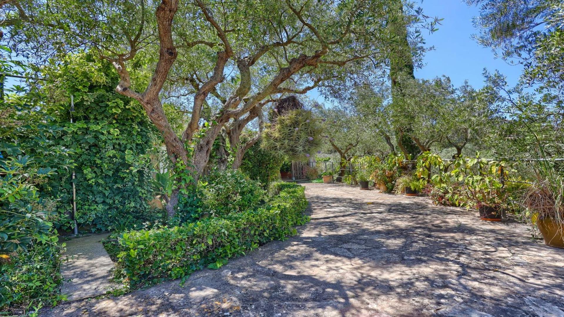 Villa Josefina Pollenca Exterior photo